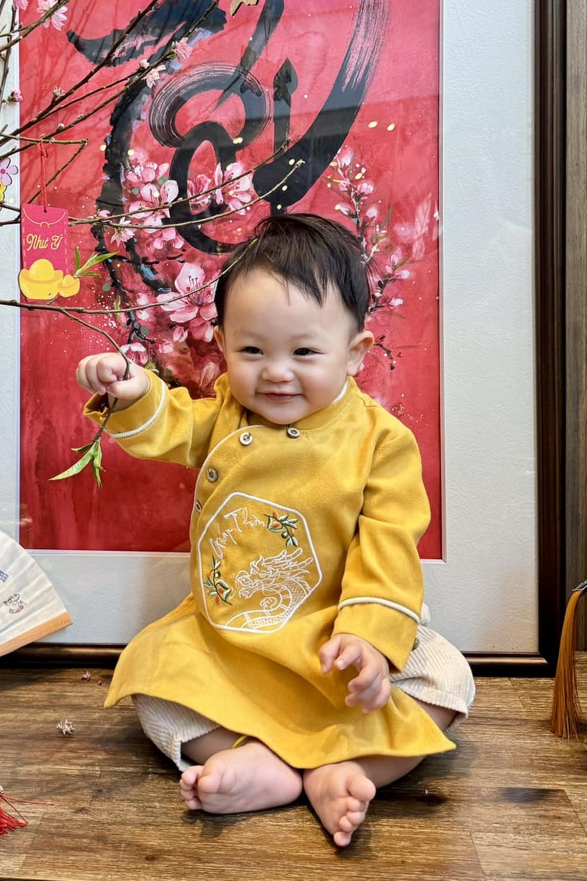 Hình ảnh