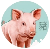 Tử vi con giáp Hợi