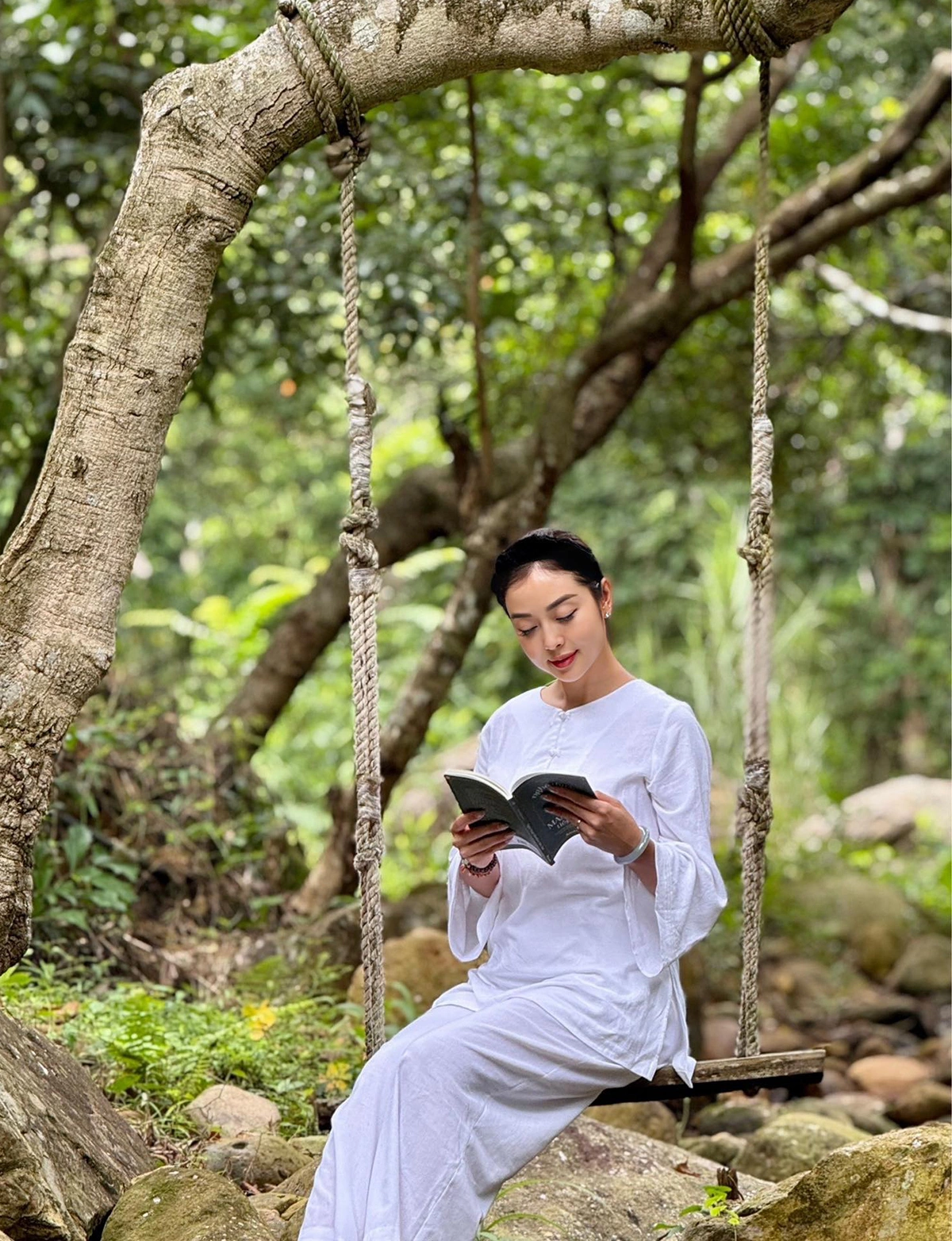 Hình ảnh