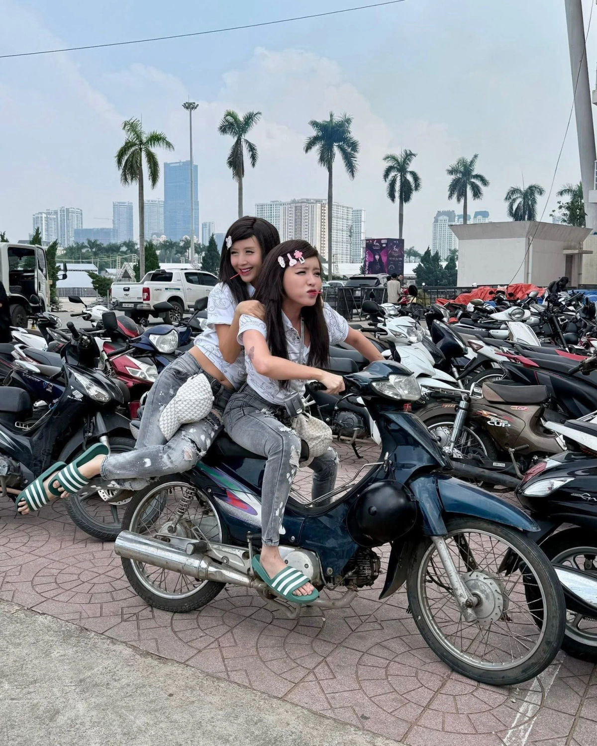 Hình ảnh