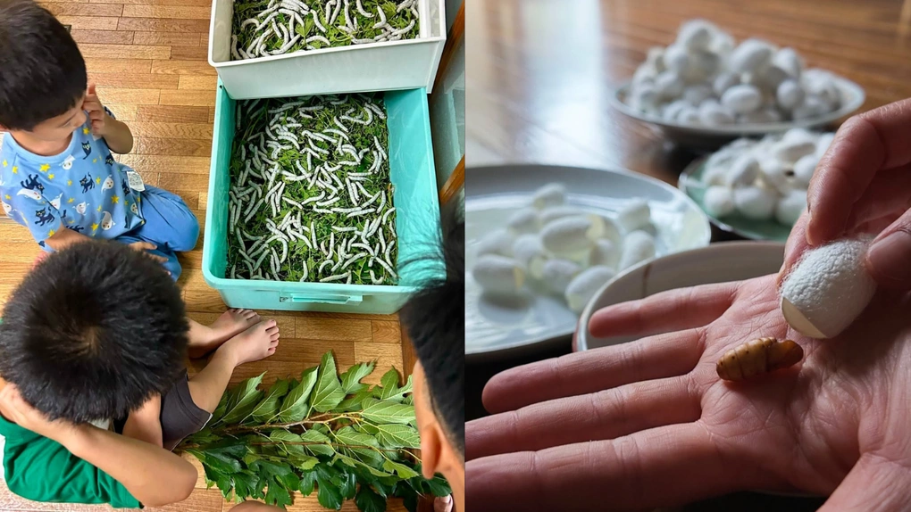 Hình ảnh
